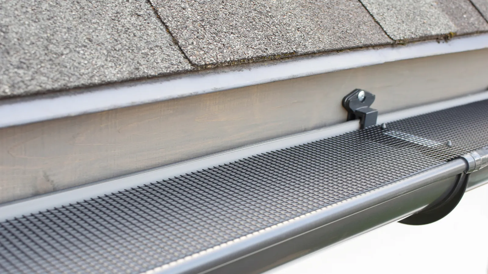 Below the shingle edge a gutter covered by mesh gutter guard