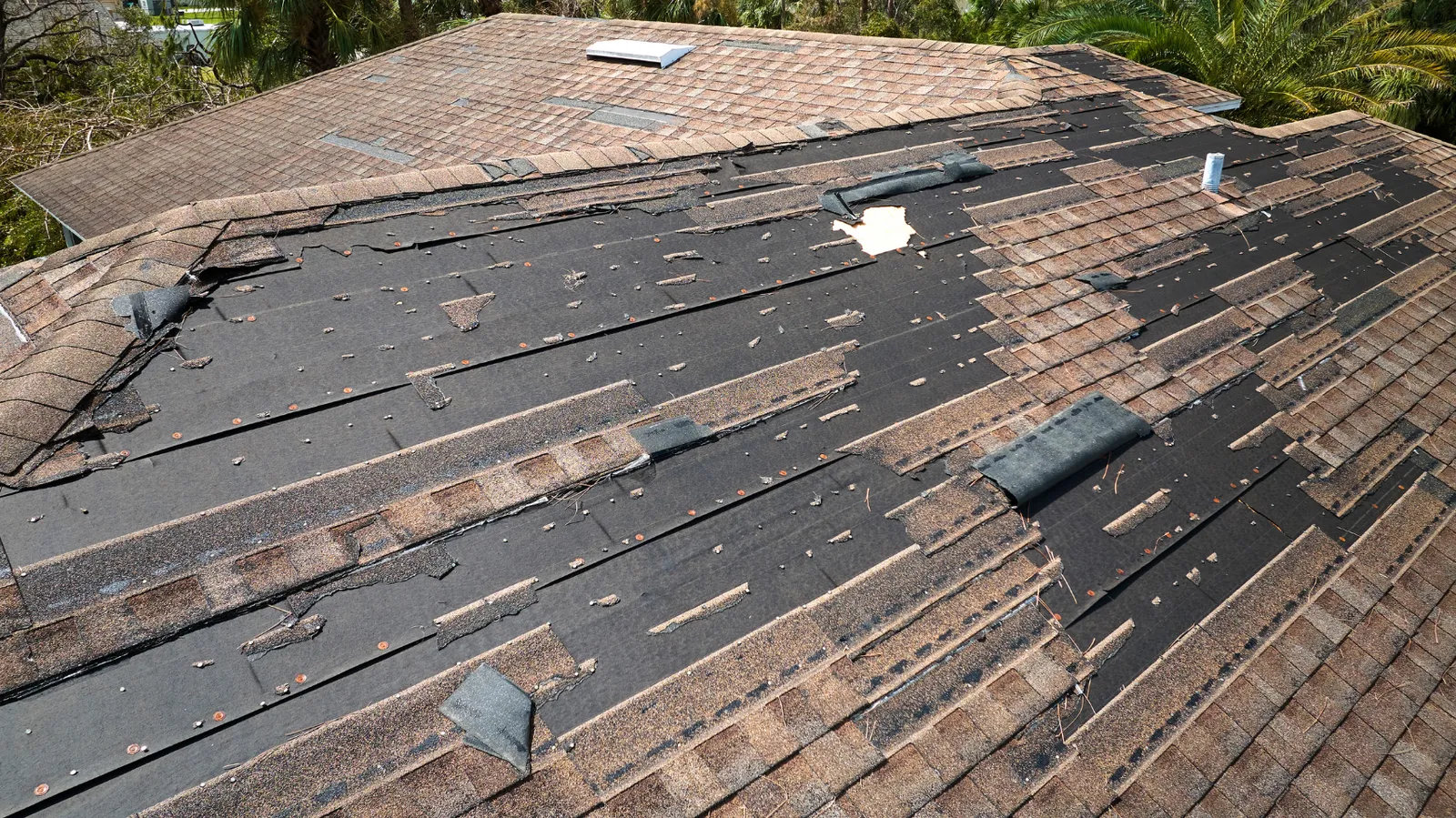 Roof showing dark felt underlayment where shingle loss is widespread