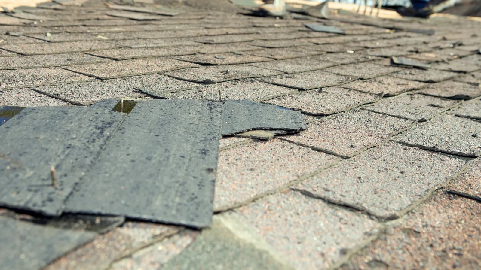 Exposed nails and a torn shingle flap folded back over weathered roofing